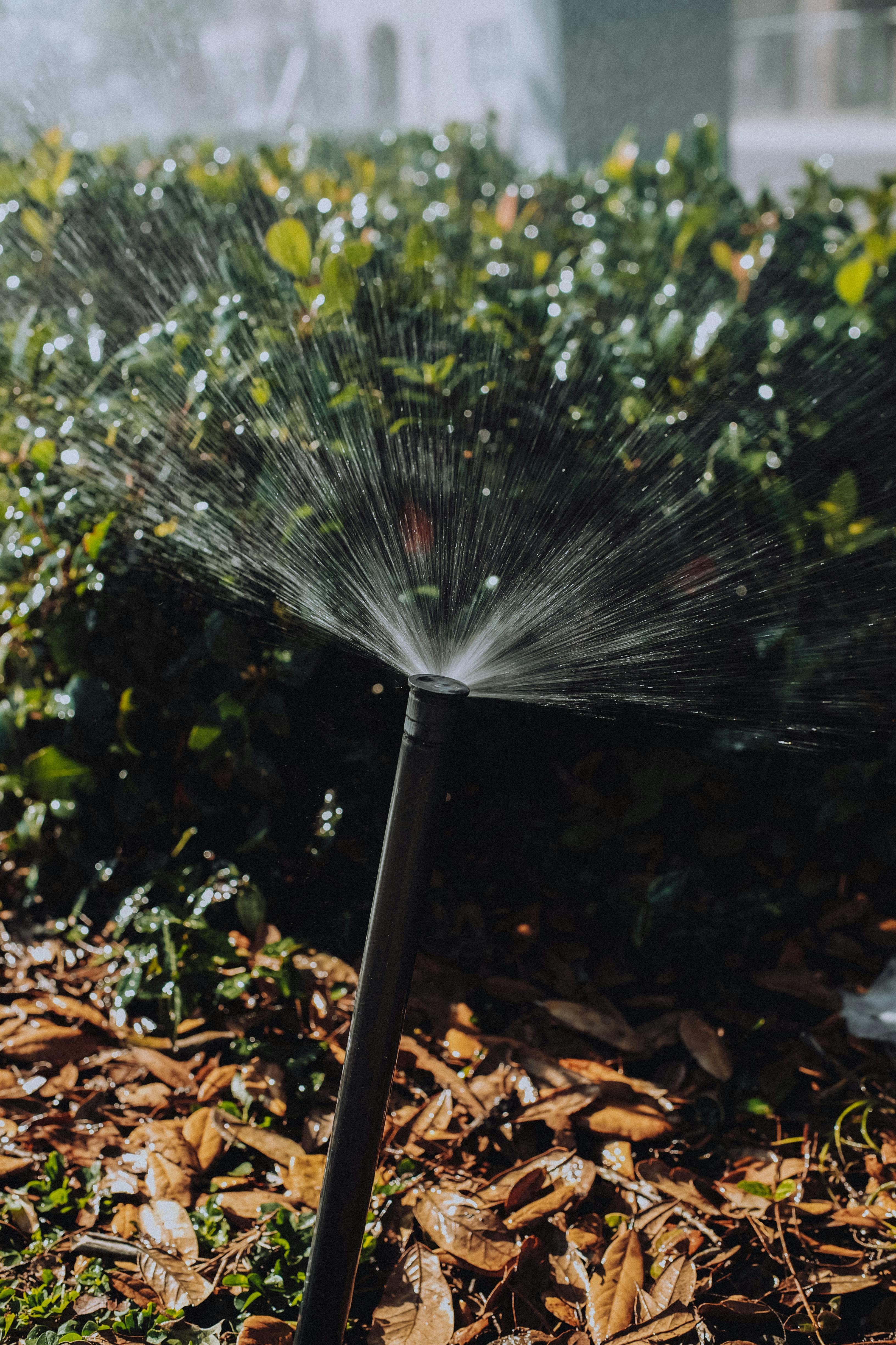 Summer Watering Tips for Your Cape Cod Lawn